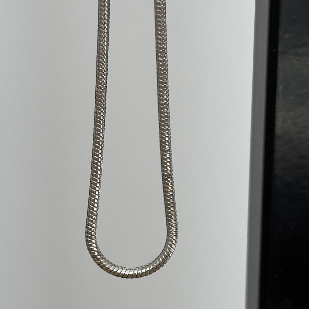 Lia Sophia Snake Chain NecklaceSilver Tone Lobster ClaspMeasures 16 I